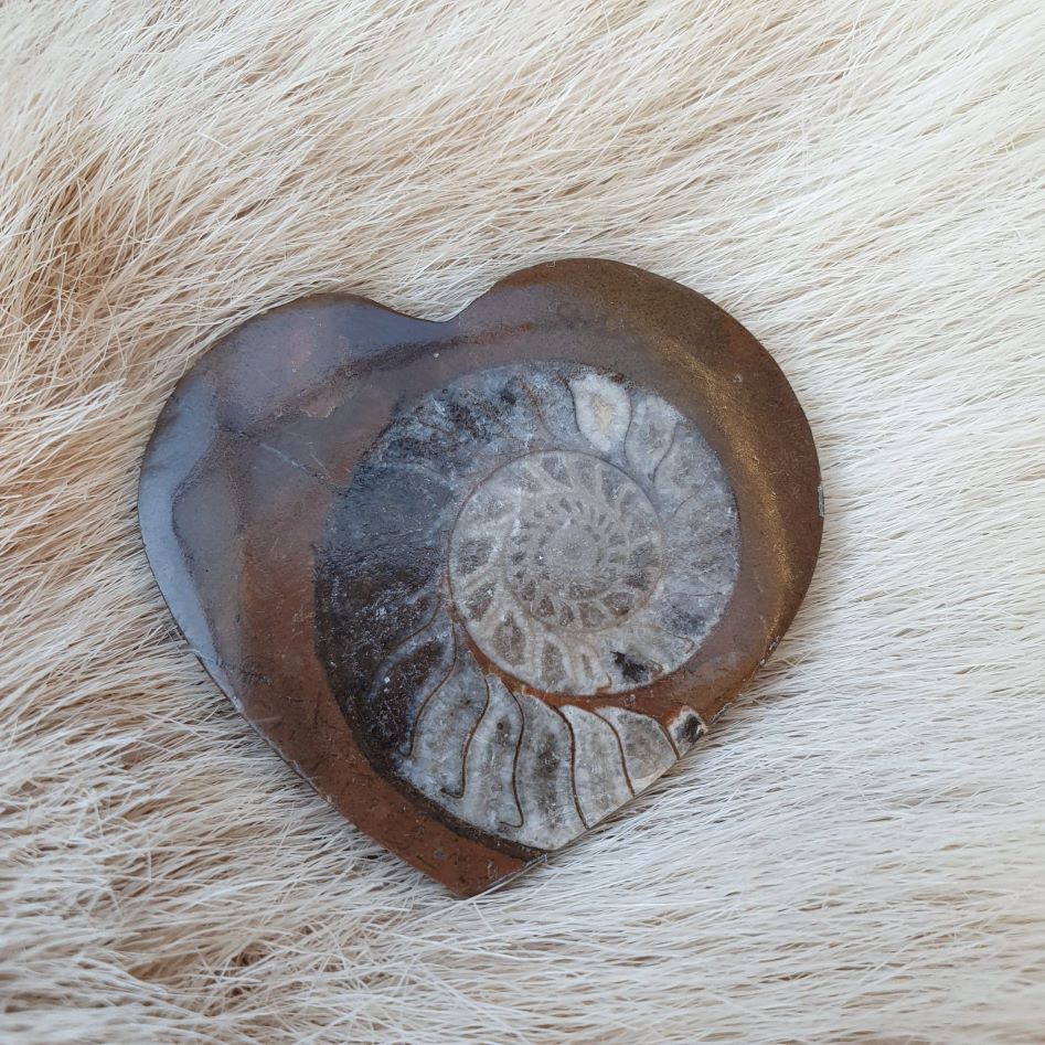 Ammonitt hjerte anheng