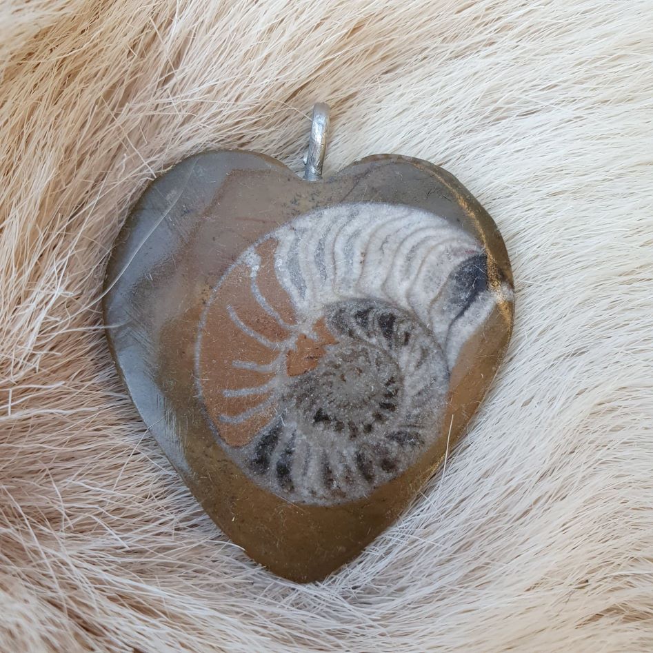 Ammonitt hjerte anheng